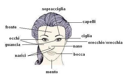 Rosto em italiano