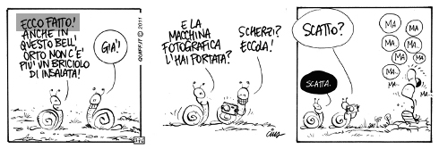 palavrinhasmagicas_